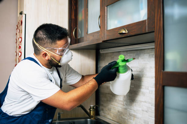 Best Flea Control Services  in Seaville, NJ