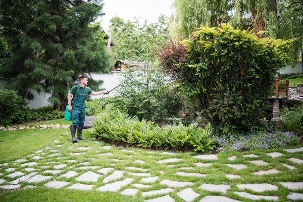 Best Residential Pest Control  in Seaville, NJ