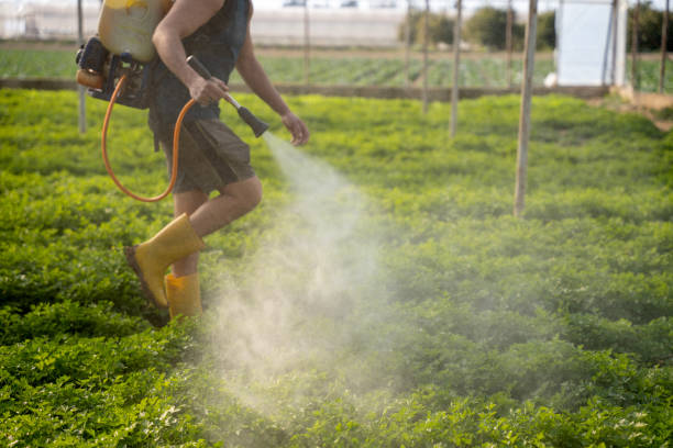 Best Pest Control for Homes  in Seaville, NJ