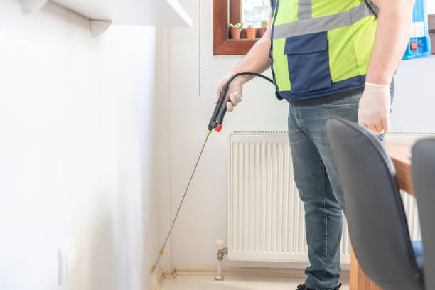 Wasp Removal Services in Seaville, NJ