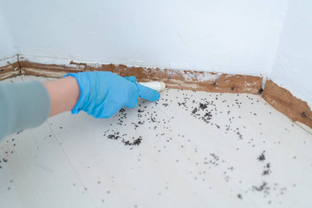 Wildlife Control Services in Seaville, NJ
